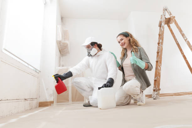 Environmental Consulting for Mold Prevention in Laurel Hill, NC